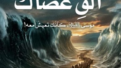 تحميل كتاب ألق عصاك pdf – أدهم شرقاوي